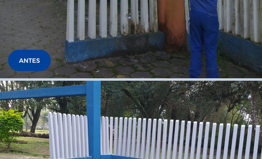 Programa Mãos Amigas